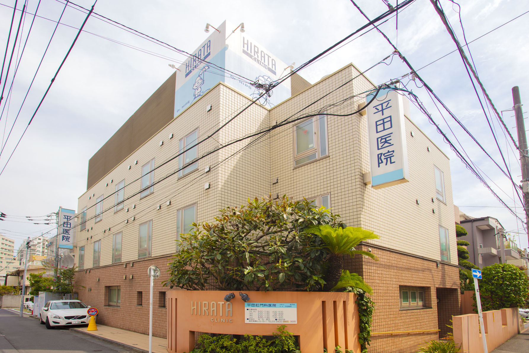 治療と実績